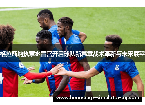 格拉斯纳执掌水晶宫开启球队新篇章战术革新与未来展望